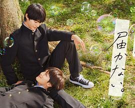 手机看片欧美一级